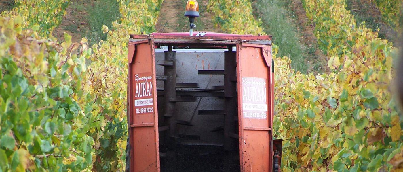 Transformer le marc de raisin en engrais