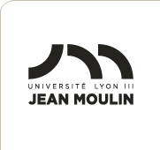 jean-moulin-lyon-3
